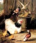 unknow artist Hen chicken and pigeon oil painting